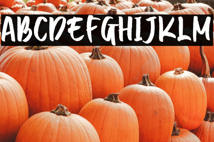 Break Types Example 3