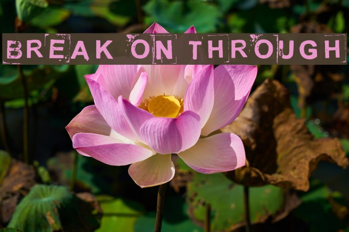 Break on through Font examples