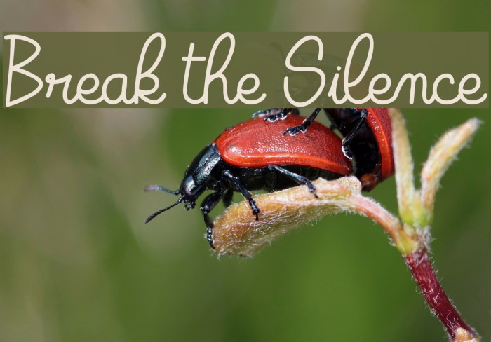 Break the Silence Font examples