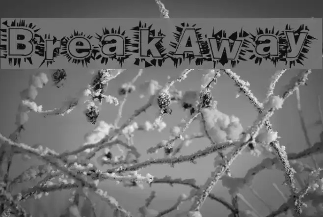 BreakAway Шрифта examples