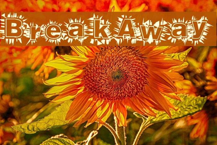 BreakAway Font examples