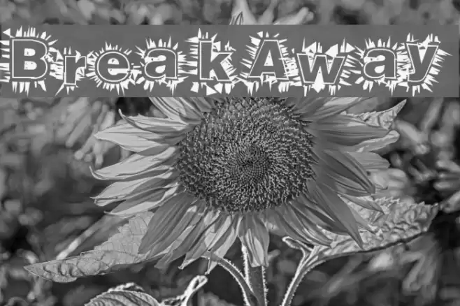 BreakAway Шрифта examples