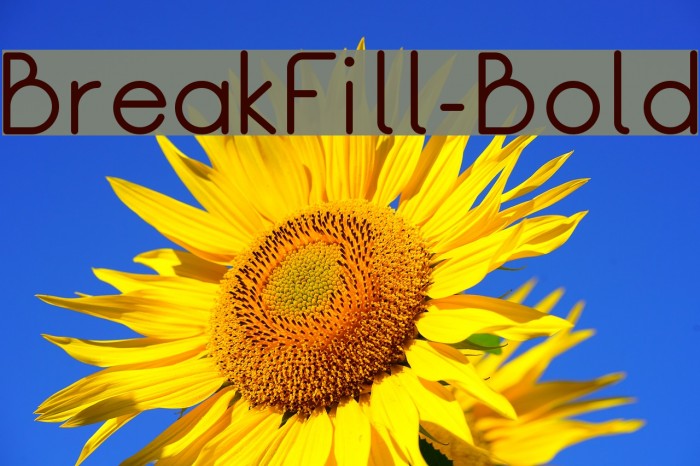 BreakFill-Bold Font examples