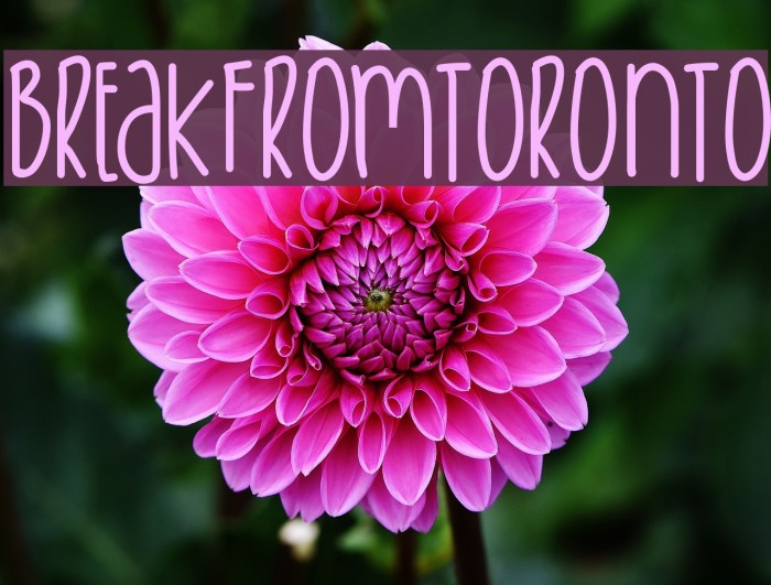 BreakFromToronto Font examples