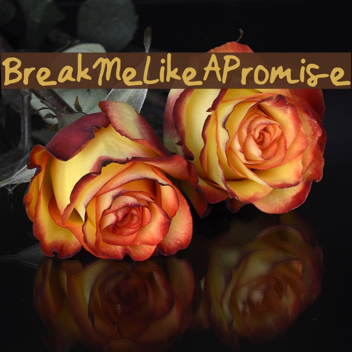 BreakMeLikeAPromise Font examples
