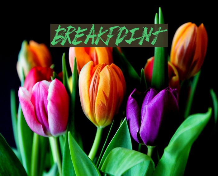 BreakPoint Example 1