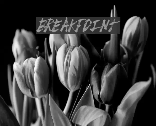 BreakPoint Font examples