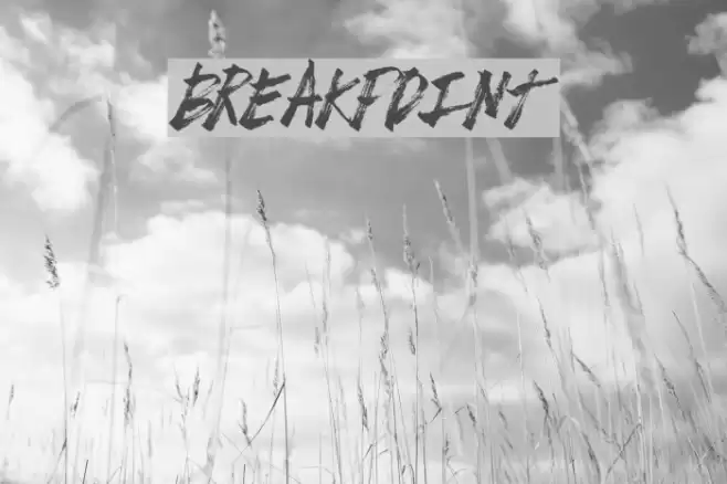 BreakPoint Font examples