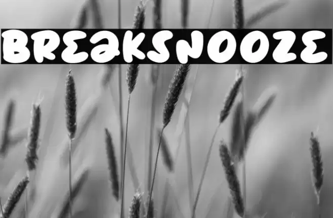 BreakSnooze Font examples