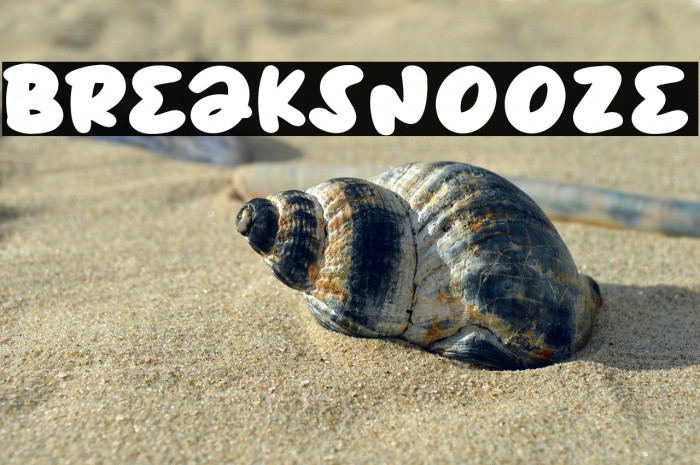 BreakSnooze Example 3