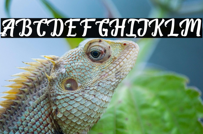 BreakStones-FreePersonalUse Example 1