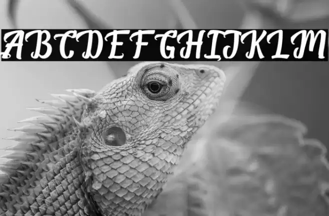 BreakStones-FreePersonalUse Font examples