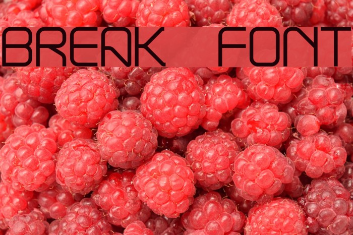 Break Font examples