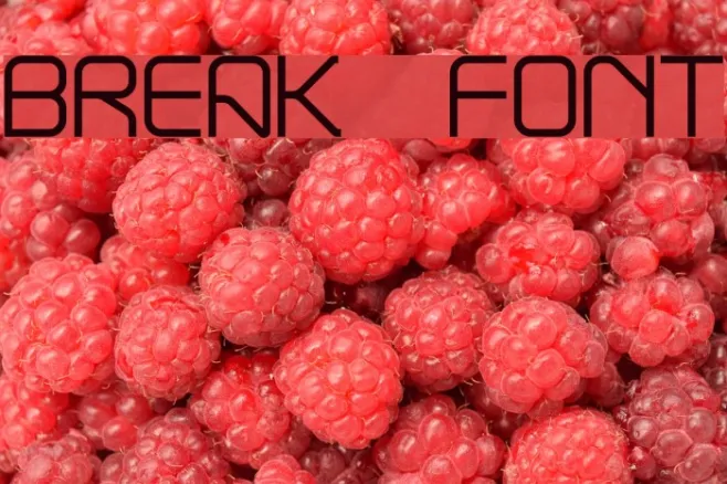 Break Example 2