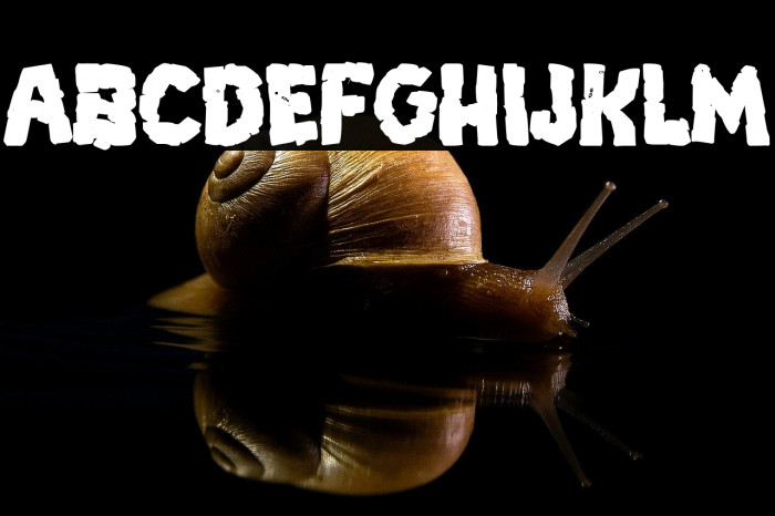 Breakdown PG Bold Example 2