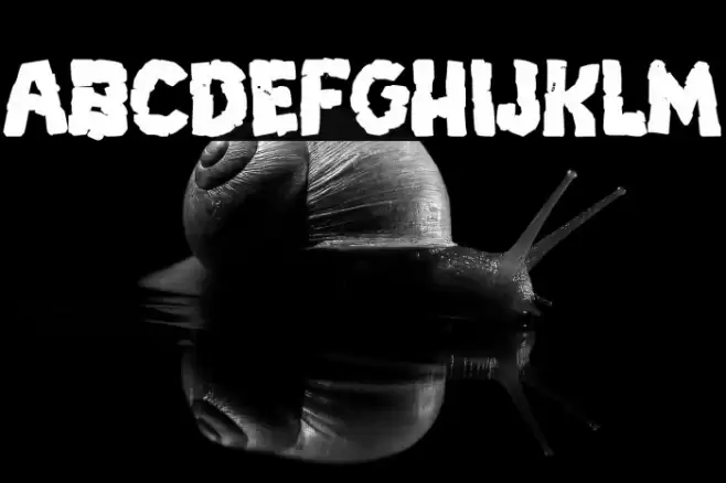 Breakdown PG Bold Font examples