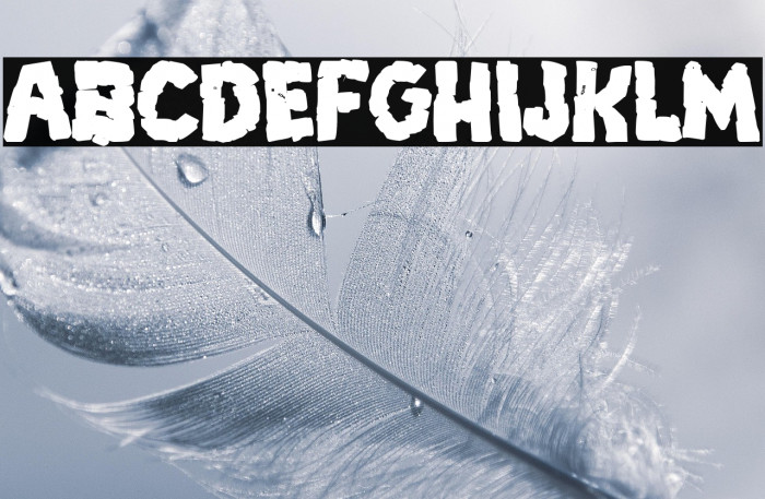 Breakdown PG Bold Example 3