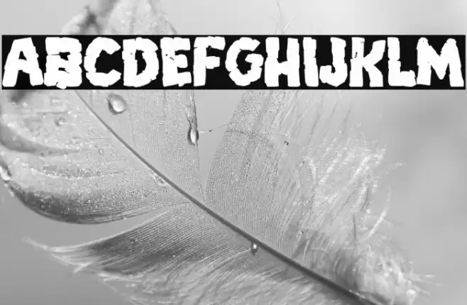 Breakdown PG Bold Font examples