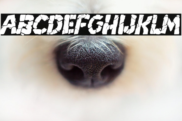 Breakdown PG Italic Example 1