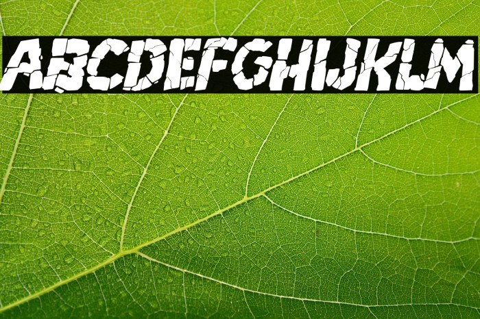 Breakdown PG Italic Example 2