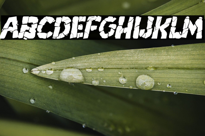 Breakdown PG Italic Example 3