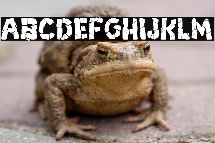 Breakdown PG Example 2