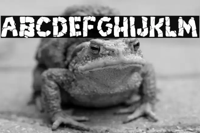 Breakdown PG Font examples