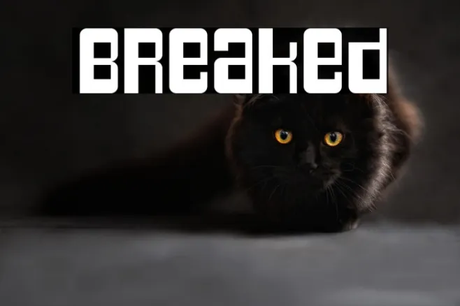 Breaked Example 1