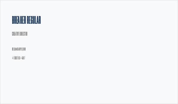 Breaker Regular Business Card