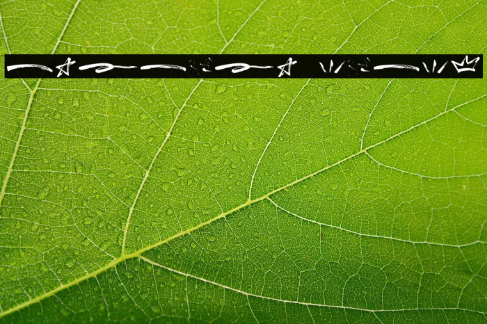 Breaker Swash Example 1