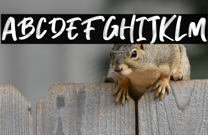 Breaker The Brush Regular Example 1