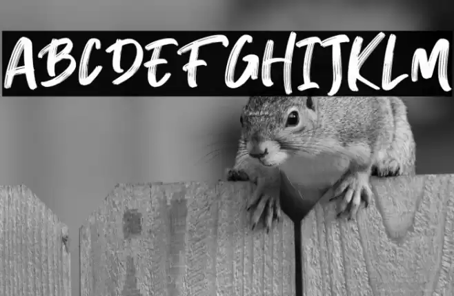 Breaker The Brush Regular Font examples