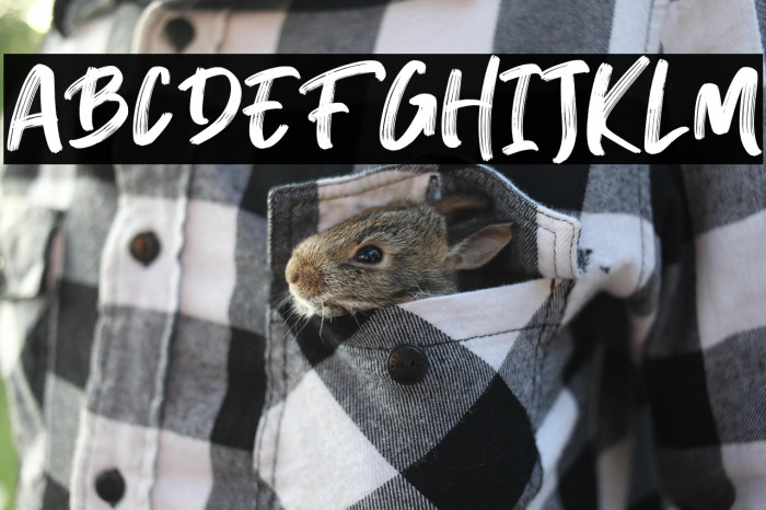 Breaker The Brush Regular Example 3