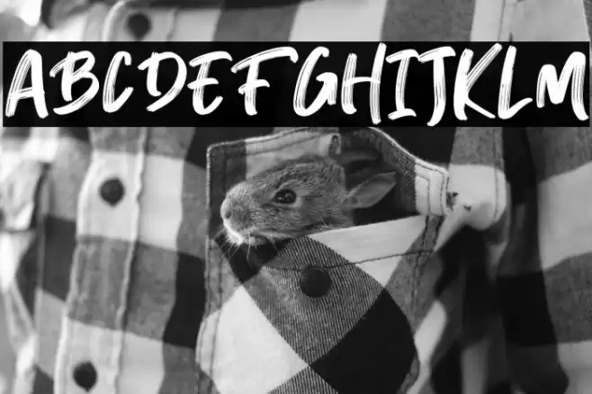 Breaker The Brush Regular Font examples