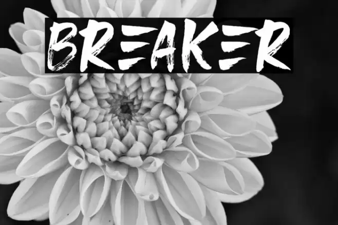 Breaker Font examples