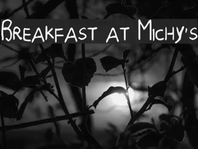Breakfast at Michy's Font examples