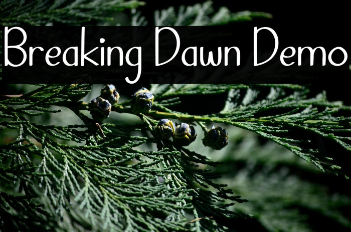 Breaking Dawn Demo Example 1