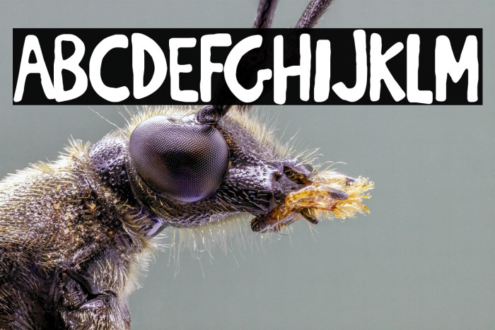 Breaking Funny News Example 3