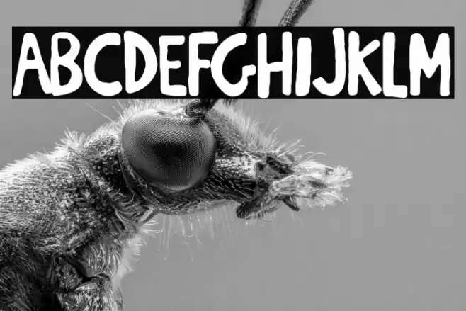 Breaking Funny News Font examples