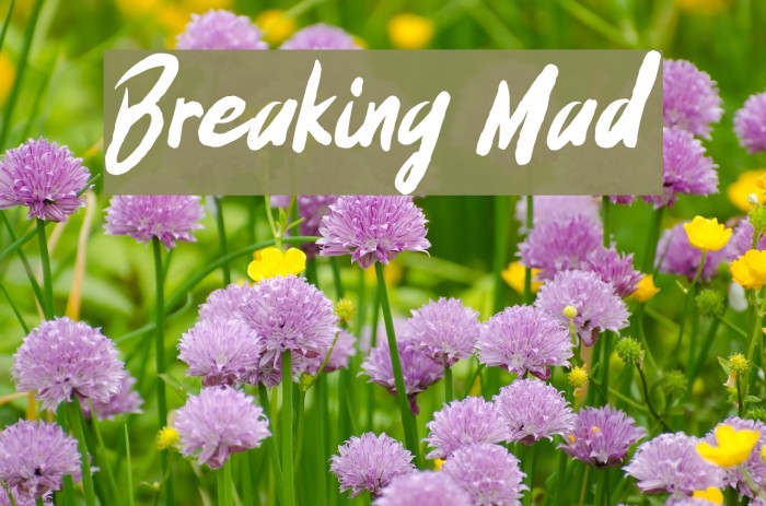 Breaking Mad Font examples