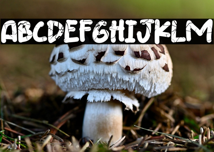 Breaking The  Comic Example 3