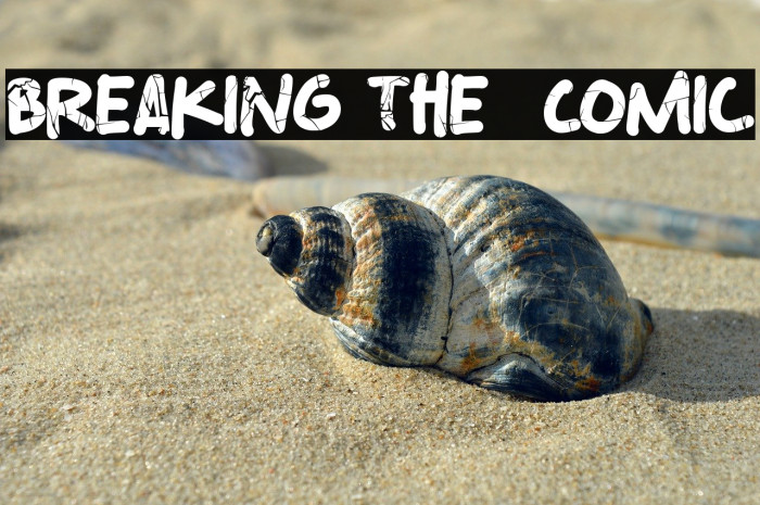 Breaking The  Comic Example 3