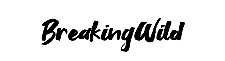 Breaking Wild  Frei Schriftart Herunterladen