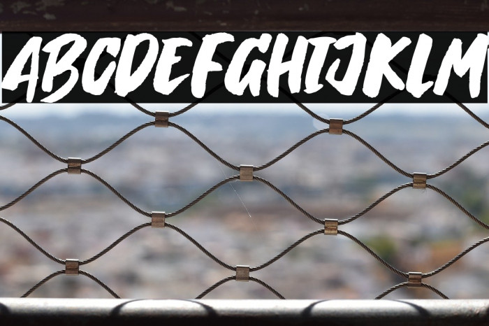 Breaking Wild Example 1