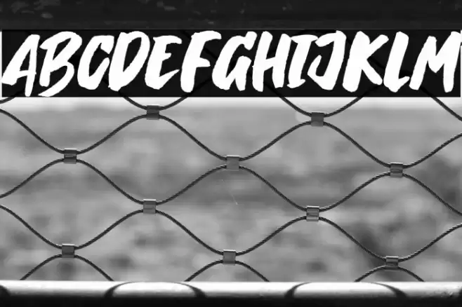 Breaking Wild Font examples