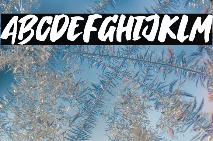 Breaking Wild Example 2