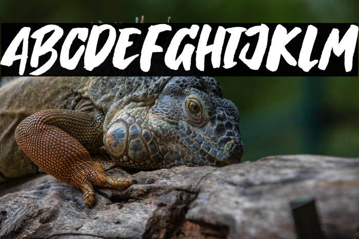 Breaking Wild Example 2