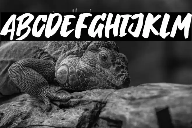 Breaking Wild Font examples