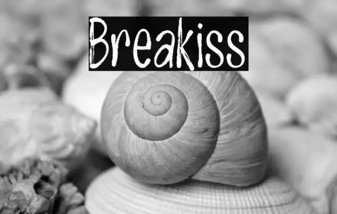 Breakiss Font examples