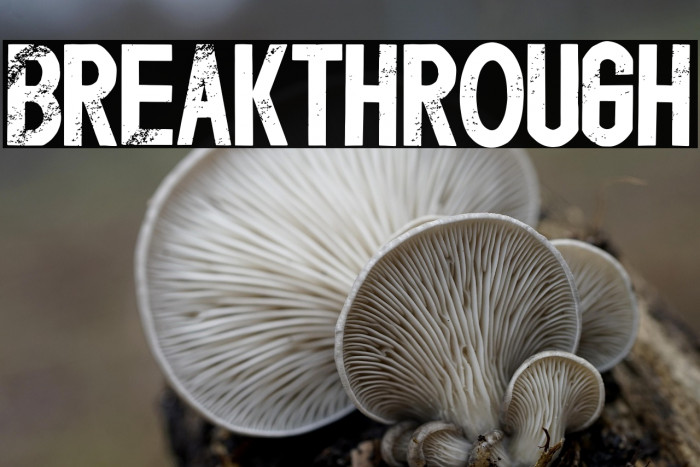 Breakthrough Example 1